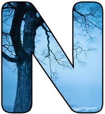 Winter-Buchstabe-N.jpg